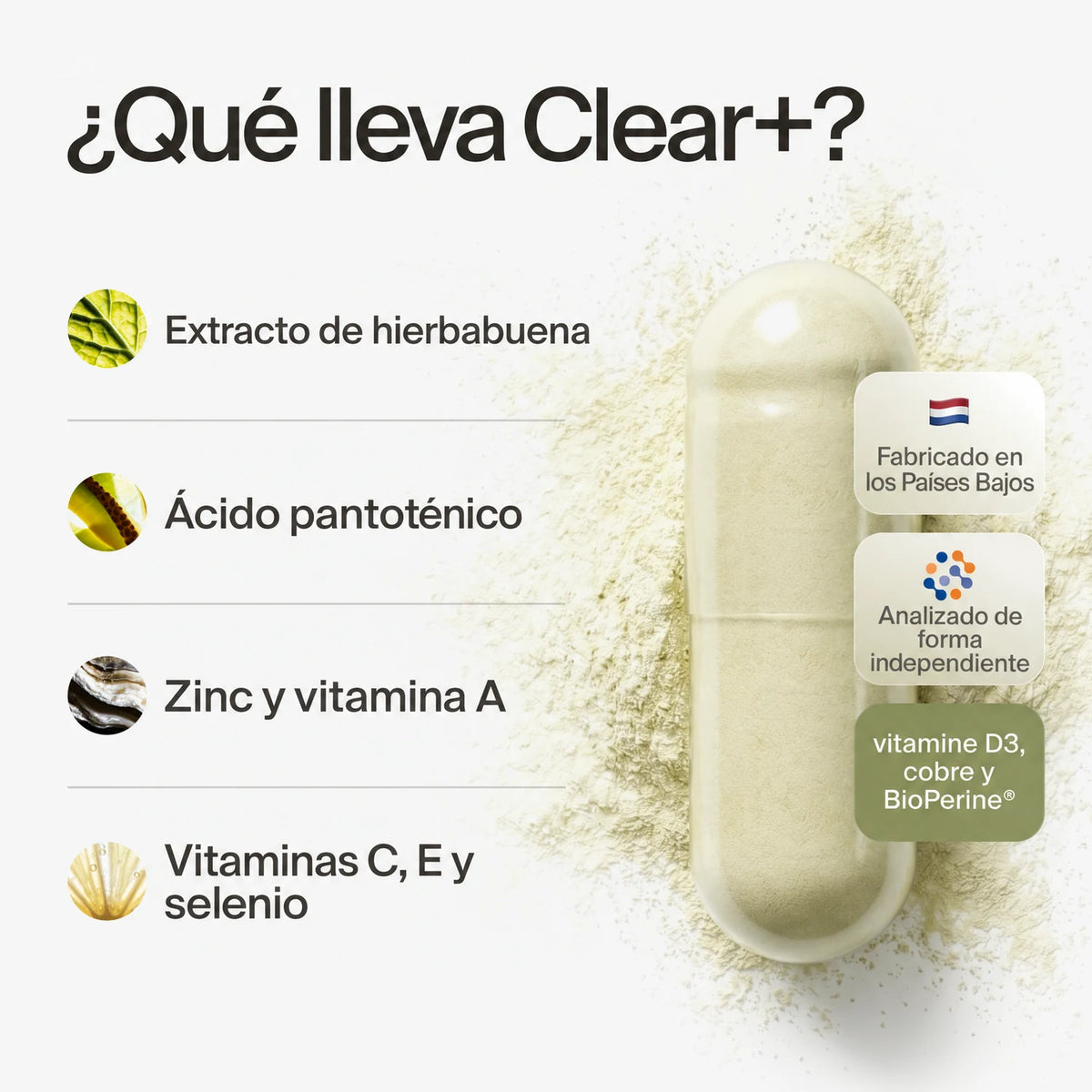 clearday gallery (es)