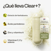 clearday gallery (es)